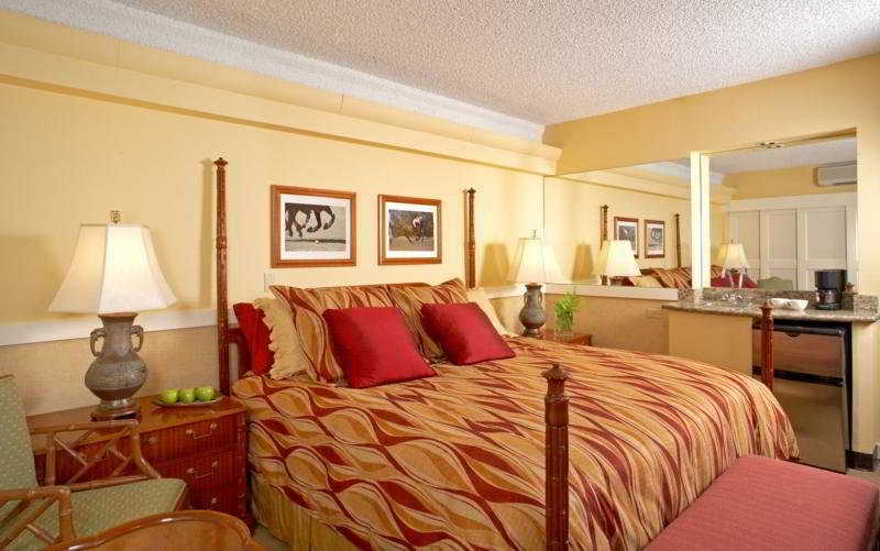 Hotel Equus Honolulu Pokoj fotografie